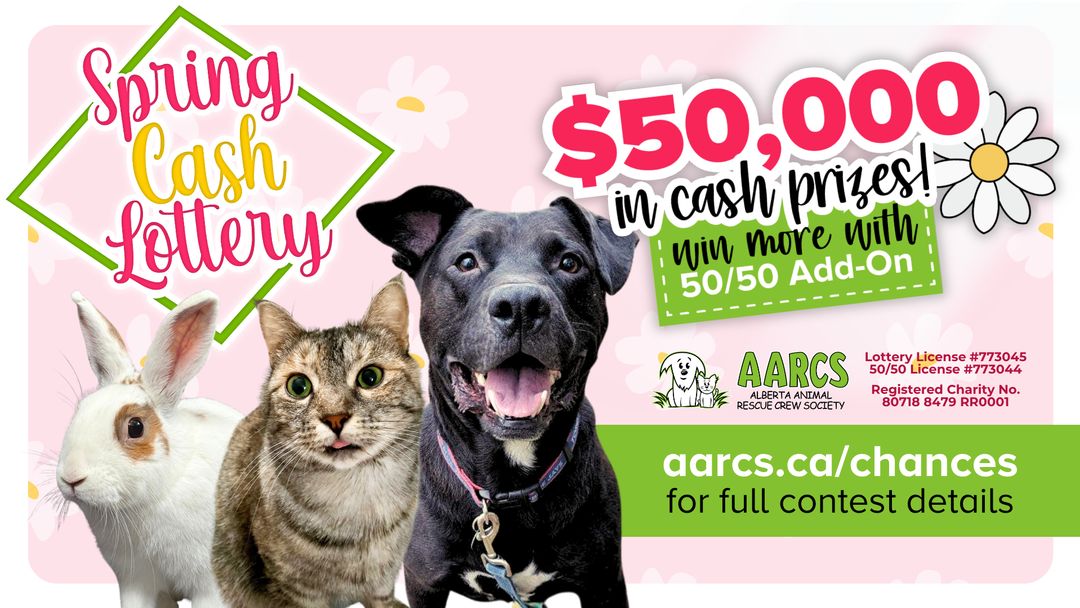 AARCS 2026 Spring Cash Lottery