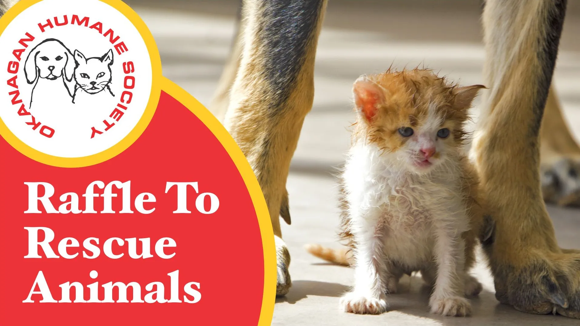 Raffle to Rescue Animals 2026